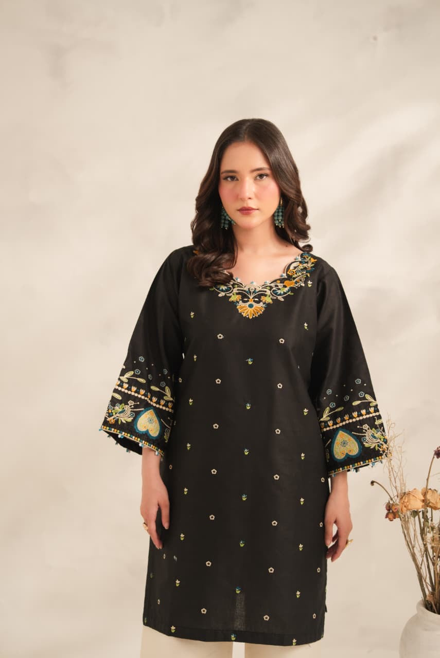 Anchal Embroided 2pc