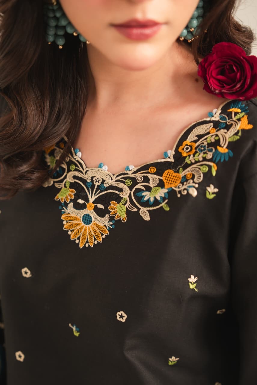 Anchal Embroided 2pc