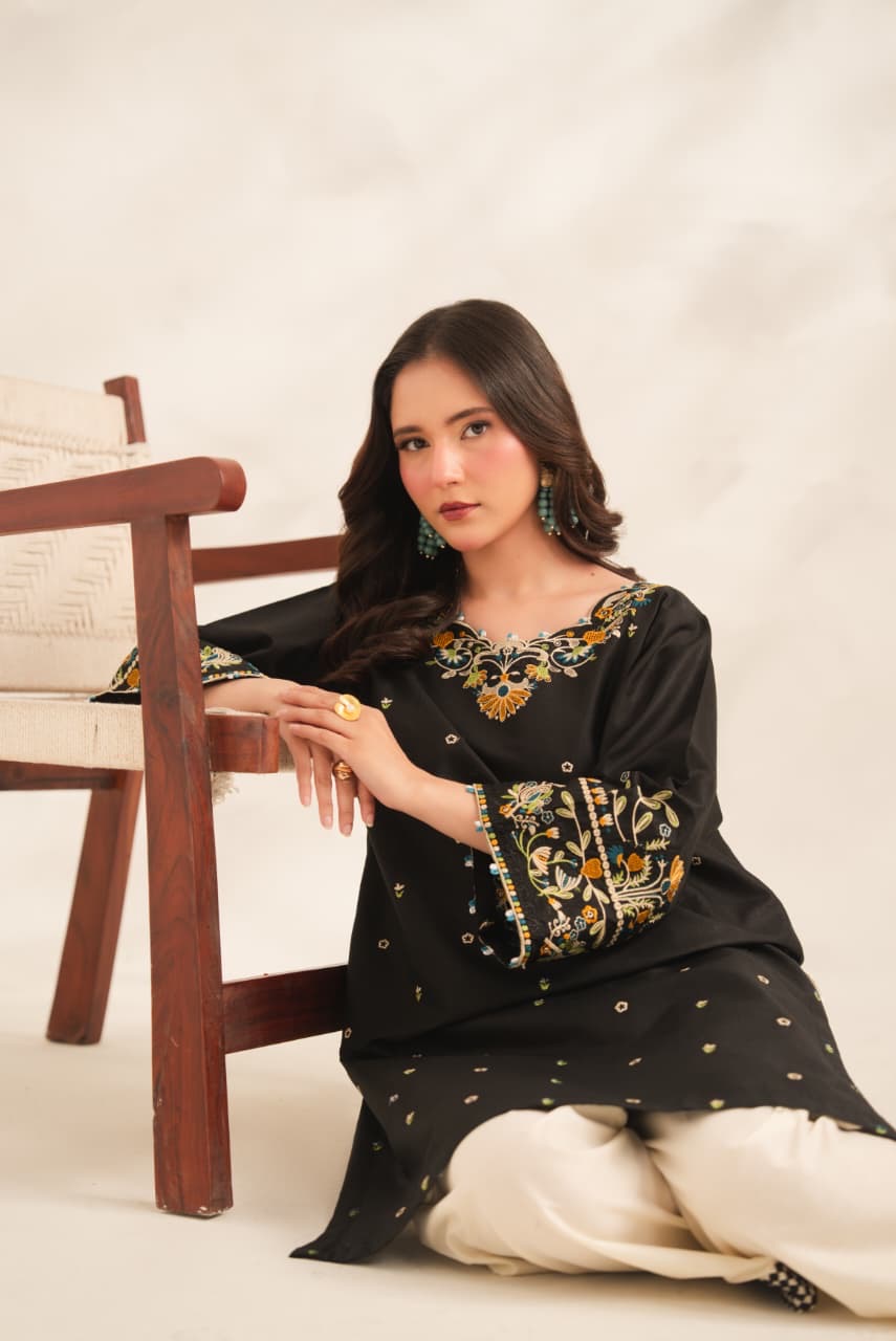 Anchal Embroided 2pc