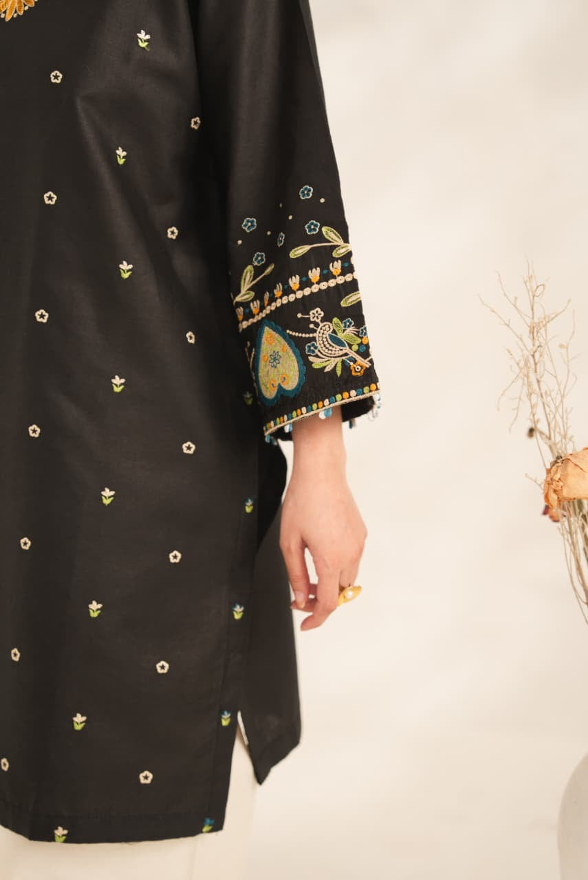 Anchal Embroided 2pc