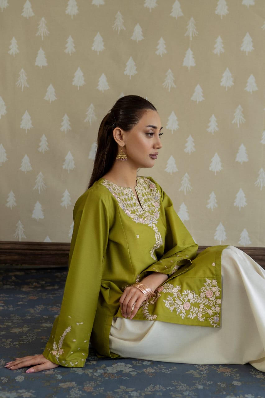 MAHIRA embroidery 2pc dress