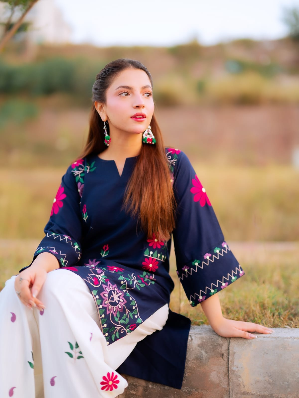 Dananeer embroidery 2 peice