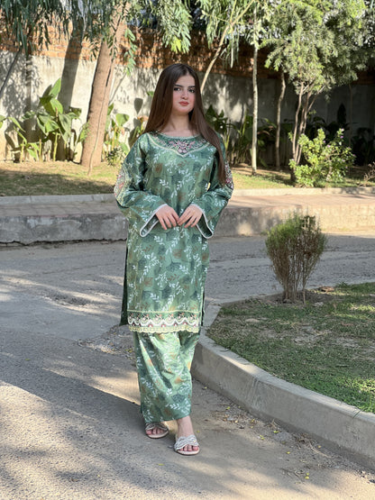 Wafa embroidery 2 peice dress